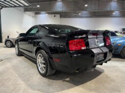Ford Mustang Shelby GT500 5.4 V8 Kompressor full