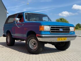 Ford Bronco v8