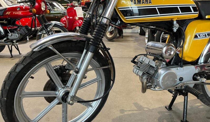 Yamaha FS1 owners style full