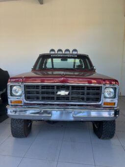 Chevrolet C10 Stepside full