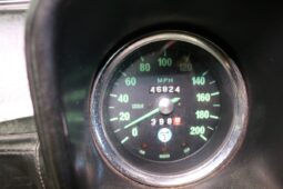De Tomaso Pantera Early L full
