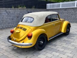 VW Bobbel cabriolet full