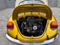VW Bobbel cabriolet full