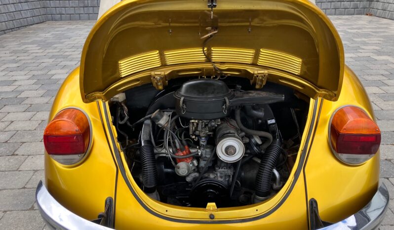 VW Bobbel cabriolet full