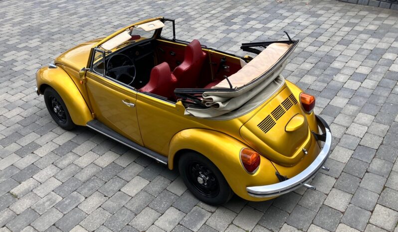 VW Bobbel cabriolet full