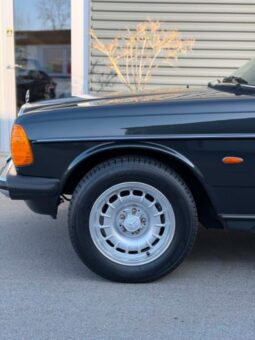 Mercedes-Benz 200-300 (W123) 230 TE full