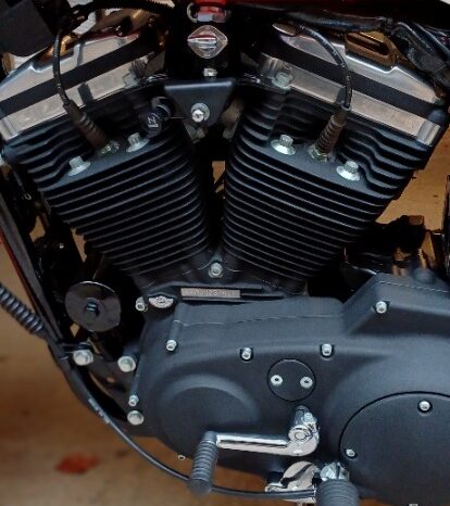 Harley Davidson 883R full