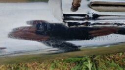 Honda Motor CBX 1000 ProLink full