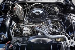 Buick Riviera 75 full