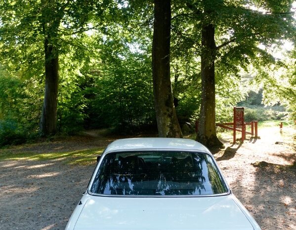 Mercedes-Benz 200-300 (W123) 2,0 full