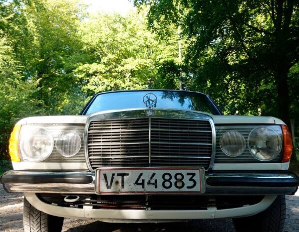 Mercedes-Benz 200-300 (W123) 2,0 full