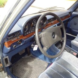 Mercedes-Benz 280-450 (W116) 280 SE AUT. full