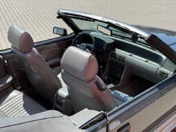 Ford Mustang GT full