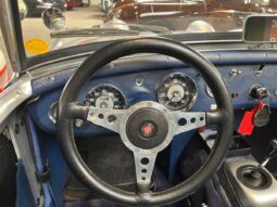 Austin-Healey Sprite Frog – Eye 1275 full