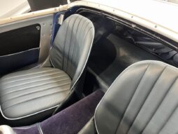 Austin-Healey Sprite Frog – Eye 1275 full
