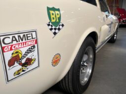 Ford Mustang GT 350 4,7 V8 Shelby Tribute full