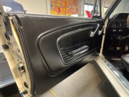 Ford Mustang GT 350 4,7 V8 Shelby Tribute full