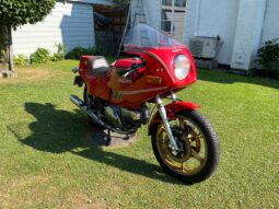 Ducati Pantah 500 SL full