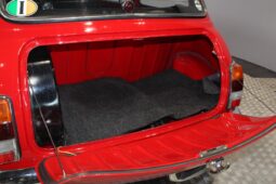 Mini Mini Innocenti full
