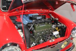 Mini Mini Innocenti full