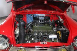 Mini Mini Innocenti full