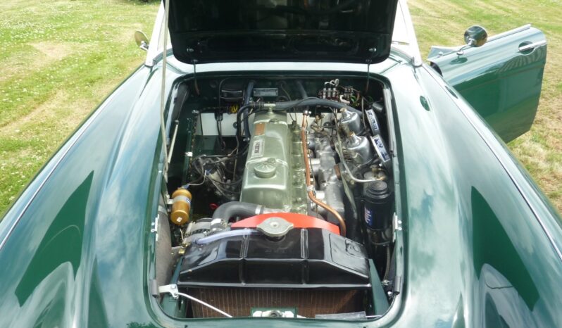 Austin-Healey 100/6 BN6 full