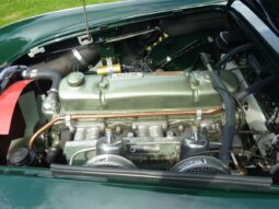 Austin-Healey 100/6 BN6 full