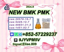 Alligator PM.K Glycidate Powder | C.AS 28578-16-7 | Fast Shipping