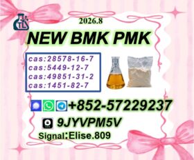 Alligator PM.K Glycidate Powder | C.AS 28578-16-7 | Fast Shipping