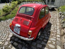 Fiat 500 L full