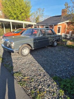 Mercedes-Benz 200-230 (W115) 230,6