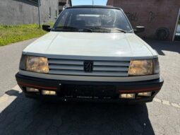 Peugeot 309 1,9 GTI full