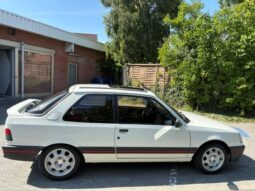 Peugeot 309 1,9 GTI full
