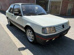 Peugeot 309 1,9 GTI full