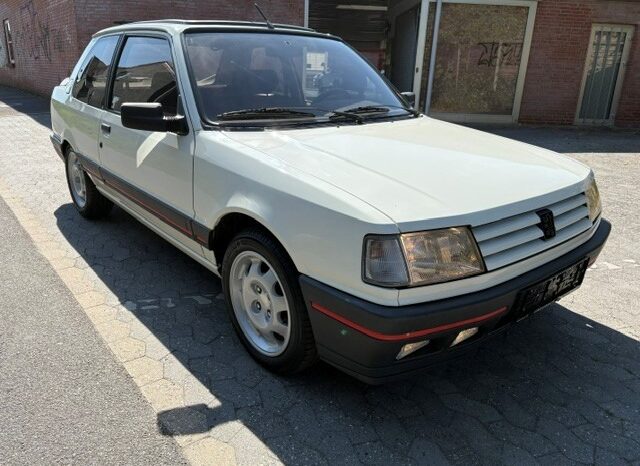 Peugeot 309 1,9 GTI full