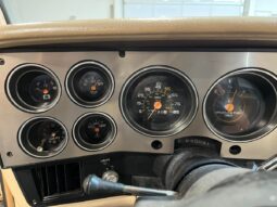 Chevrolet C10 C10 Silverado Pickup V8 full
