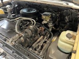 Chevrolet C10 C10 Silverado Pickup V8 full