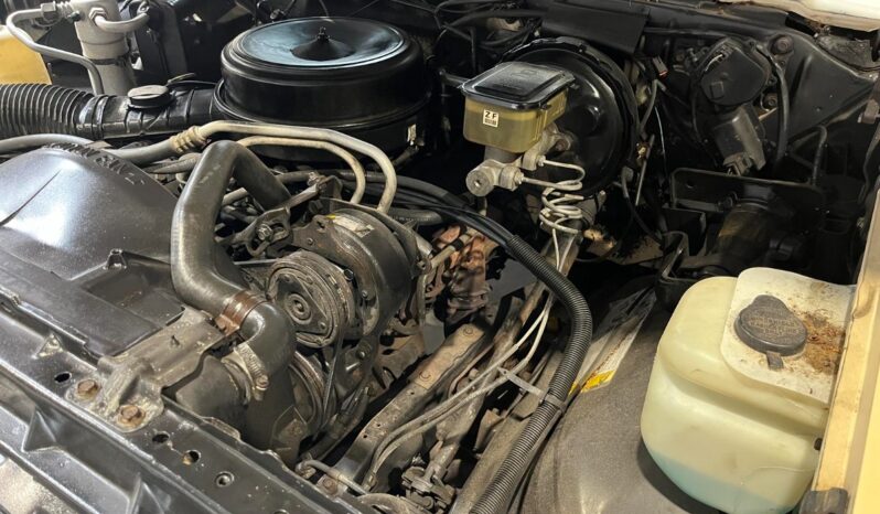 Chevrolet C10 C10 Silverado Pickup V8 full