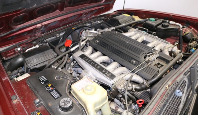 Jaguar XJ12 XJ 40 full