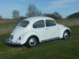 VW Bobbel 1300 “Kadron” full
