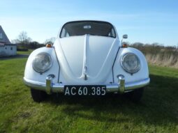 VW Bobbel 1300 “Kadron” full