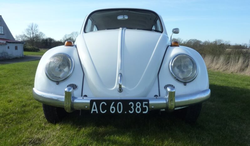 VW Bobbel 1300 “Kadron” full