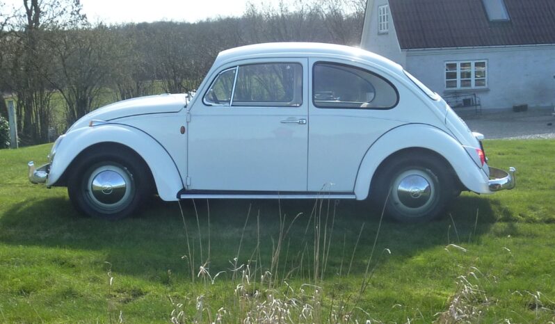 VW Bobbel 1300 “Kadron” full