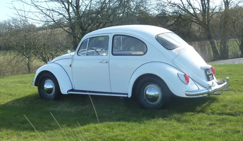 VW Bobbel 1300 “Kadron” full