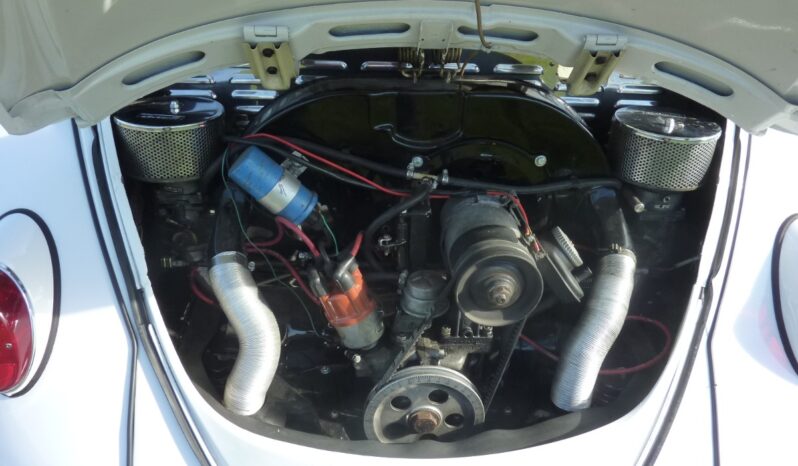 VW Bobbel 1300 “Kadron” full